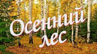 Марафон осенних фотографий "Осенний лес" 1 - 9 кл.